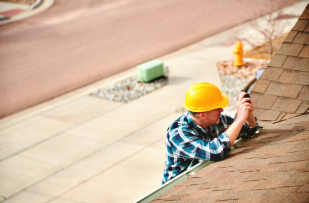 Best Roof Gutter Cleaning  in Lino Lakes, MN